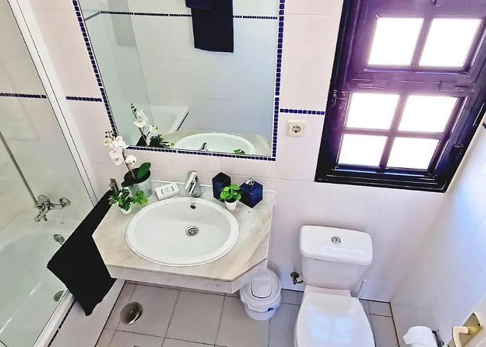 C16 Oasis - - Glasfaserinternet *