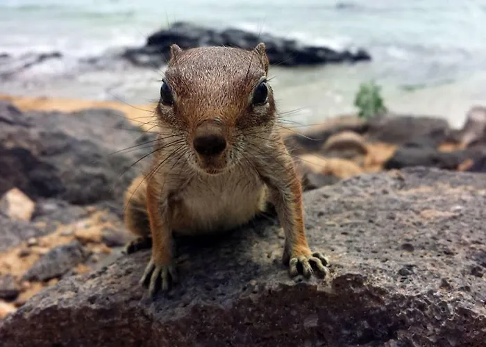 Apartman C16 Oasis - - Glasfaserinternet *